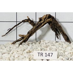 Spiderwood 147