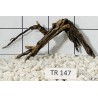 Spiderwood 147