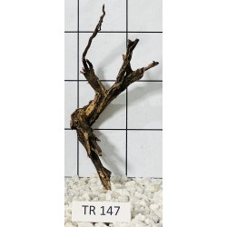 Spiderwood 147