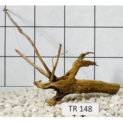 Spiderwood 148