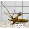 Spiderwood 148