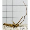 Spiderwood 148