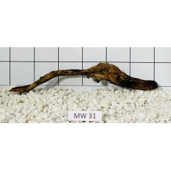 Mangrovewood 31