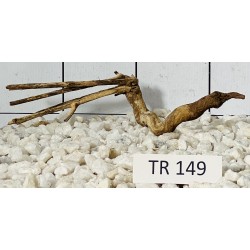Spiderwood 149