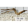 Spiderwood 149