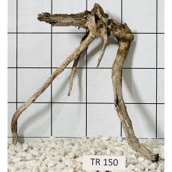 Spiderwood 150