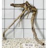 Spiderwood 150