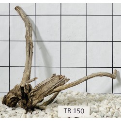 Spiderwood 150