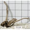 Spiderwood 150