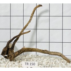 Spiderwood 150