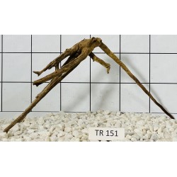 Spiderwood 151