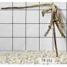 Spiderwood 151