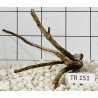 Spiderwood 151