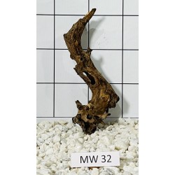 Mangrovewood 32