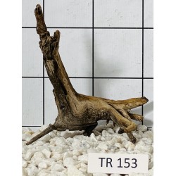 Spiderwood 153