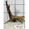 Spiderwood 153