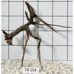 Spiderwood 154