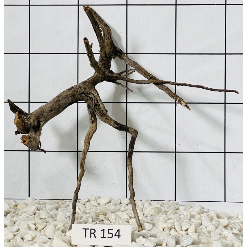Spiderwood 154