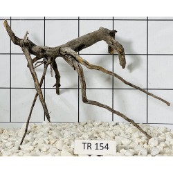 Spiderwood 154