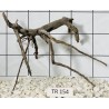 Spiderwood 154