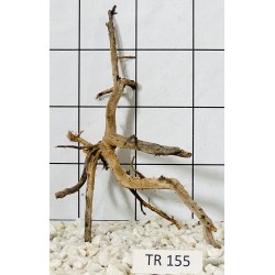 Spiderwood 155