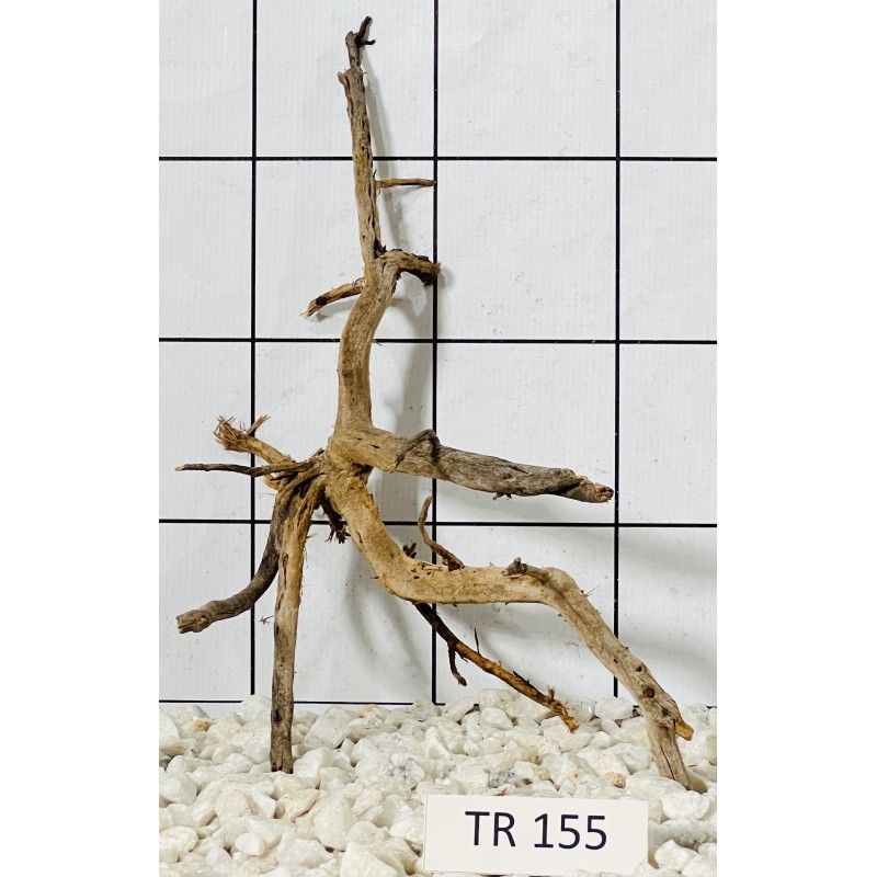 Spiderwood 155
