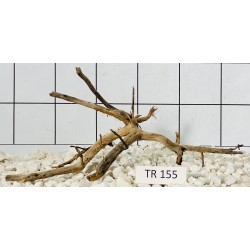 Spiderwood 155