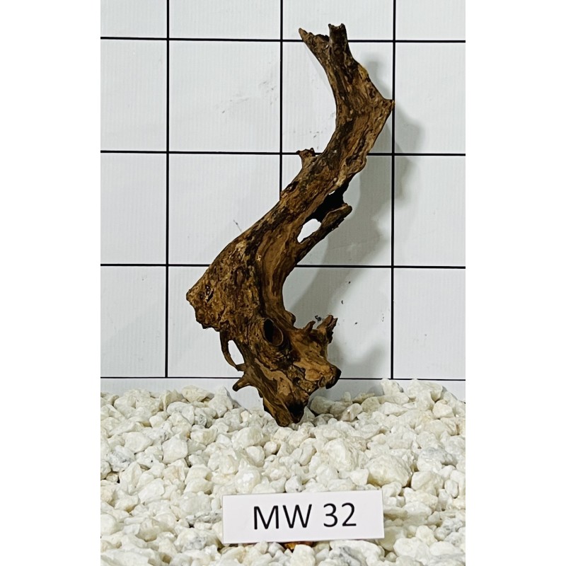 Mangrovewood 32