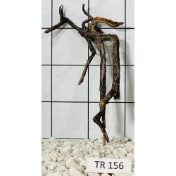 Spiderwood 156