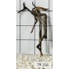 Spiderwood 156