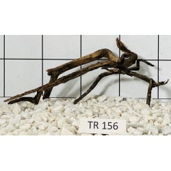 Spiderwood 156