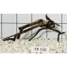 Spiderwood 156