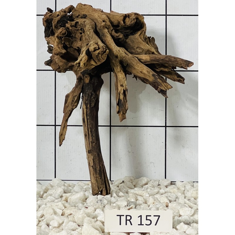 Spiderwood 157