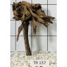 Spiderwood 157