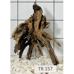 Spiderwood 157