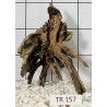 Spiderwood 157