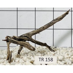 Spiderwood 158