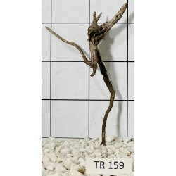 Spiderwood 159