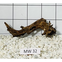 Mangrovewood 32