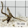 Spiderwood 159