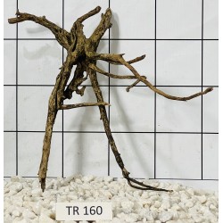 Spiderwood 160