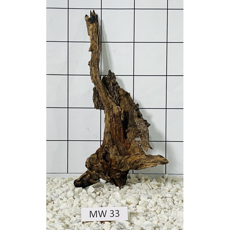 Mangrovewood 33