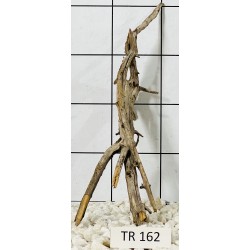 Spiderwood 162