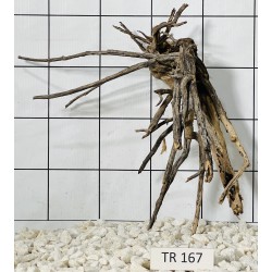 Spiderwood 167