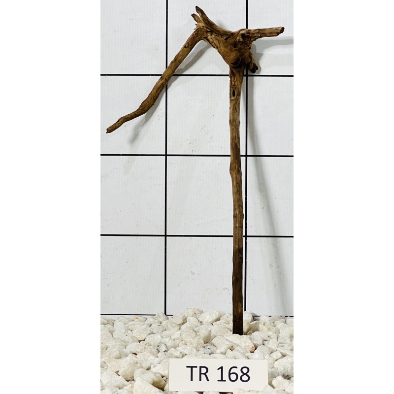 Spiderwood 168