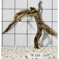 Spiderwood 169