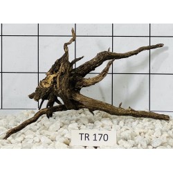 Spiderwood 170