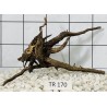 Spiderwood 170