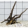 Spiderwood 170