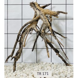 Spiderwood 171